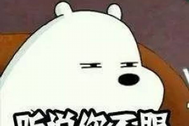 张家港张家港的要账公司在催收过程中的策略和技巧有哪些？